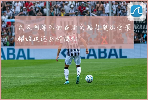 武汉网球队的奋进之路与奥运会荣耀的追逐历程揭秘